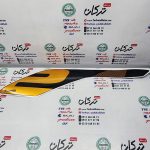 ارم ( برچسب ) روي قاب بغل ( بال باک ) سمت چپ موتور بنلي 300 دوسيلندر جديد نيوفيس طلایی