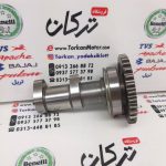 میله سوپاپ ( بادامک ) هوا موتور بنلی 250 تک سیلندر قدیم