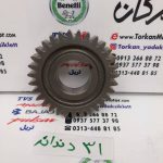 دنده محرک کلاچ بنلی 300 دوسیلندر و ریس ( 31 دندانه ) - Image 2