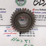 دنده محرک کلاچ بنلی 300 دوسیلندر و ریس ( 31 دندانه )