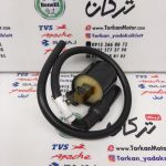 کوئل برق شمع انواع موتورهای پالس - Image 2