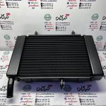رادیات همراه با فن کامل موتور بنلی 250 تک سیلندر جدید اصلی
