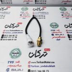 سنسور دما لیفان سوکت ( فیش ) بزرگ