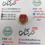 سنسور ( فشنگی ) دما اب رادیات بنلی 180 - Image 2